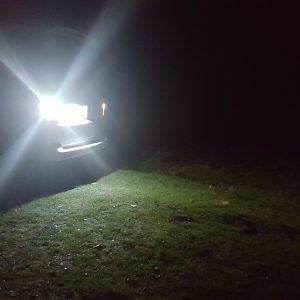 2x SUPER BRIGHT DIRECT REPLACEMENT VW T5 Reversing Bulb Upgrade Transporter